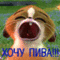 Хочу Пиво!