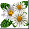 Ромашки