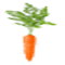 Морковушка